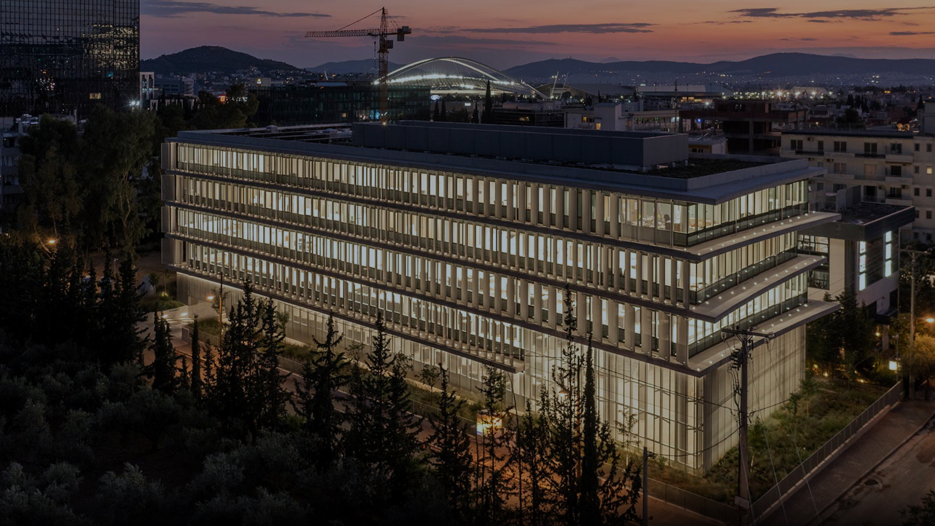 Protea header| desktop